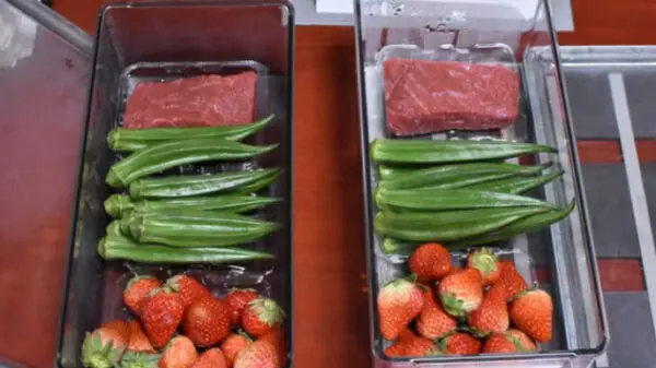 Biomag Revolutionizes Food Preservation with Breakthrough Magnetic Field Technology