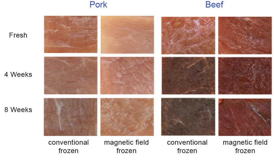 【Jiangnan University】Enhancing Frozen Meat Quality with Magnetic Field Technology